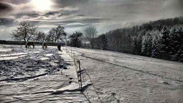 Artworks rund um den Winter und sein 'weißes Gesicht' (2013, 2014) - Serie 'Winterlandschaften' (von Benjamin Erhardt) Artworks rund um den Winter und sein 'weißes Gesicht' (2013, 2014) - Serie 'Winterlandschaften' (von Benjamin Erhardt)